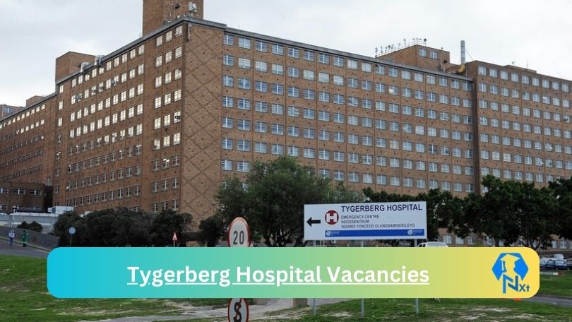 New x12 Tygerberg Hospital Vacancies 2024 | Apply Now @www.scubedonline.co.za for Food Services Supervisor, Head Clinical Unit Jobs